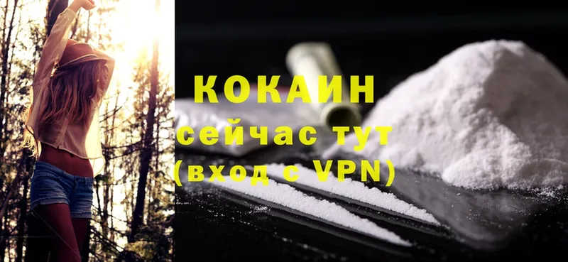 kraken ССЫЛКА  Ветлуга  Cocaine FishScale  закладки 