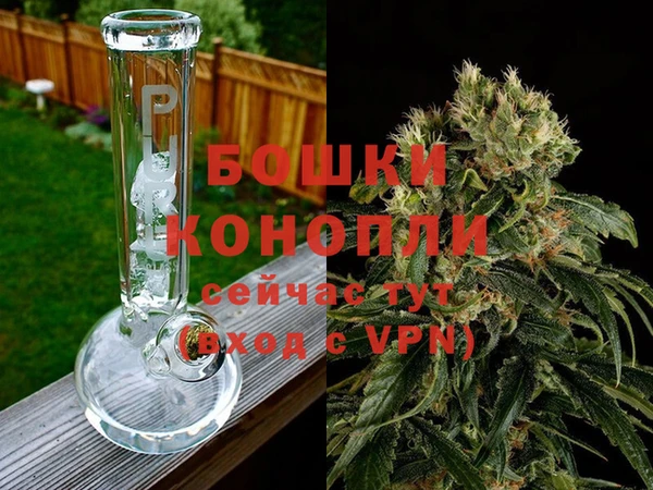 индика Белоозёрский